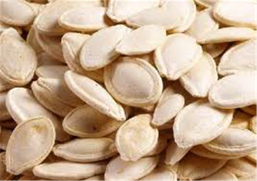 Fresh White Pumpkin Seeds