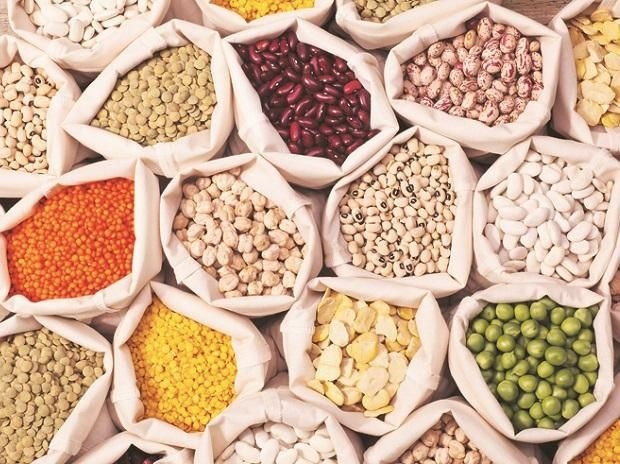 Lentils, Pulses , Urad Dal, Split Bengal gram, Chana Dal