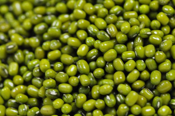High Quality Green Mung Beans for Sell