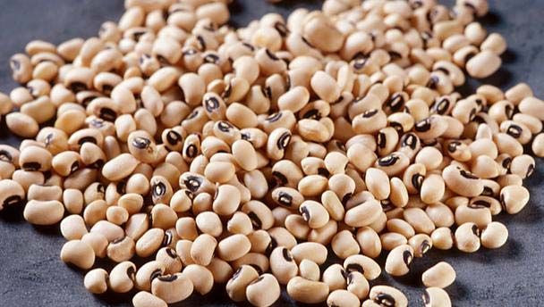 Bulk Natural Dried Cow Peas Kidney Beans