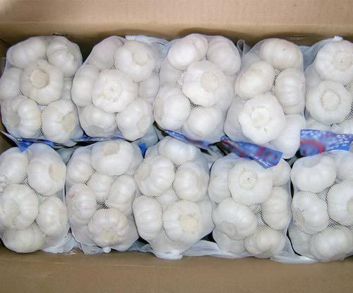 Best Grade White Garlic For Sale