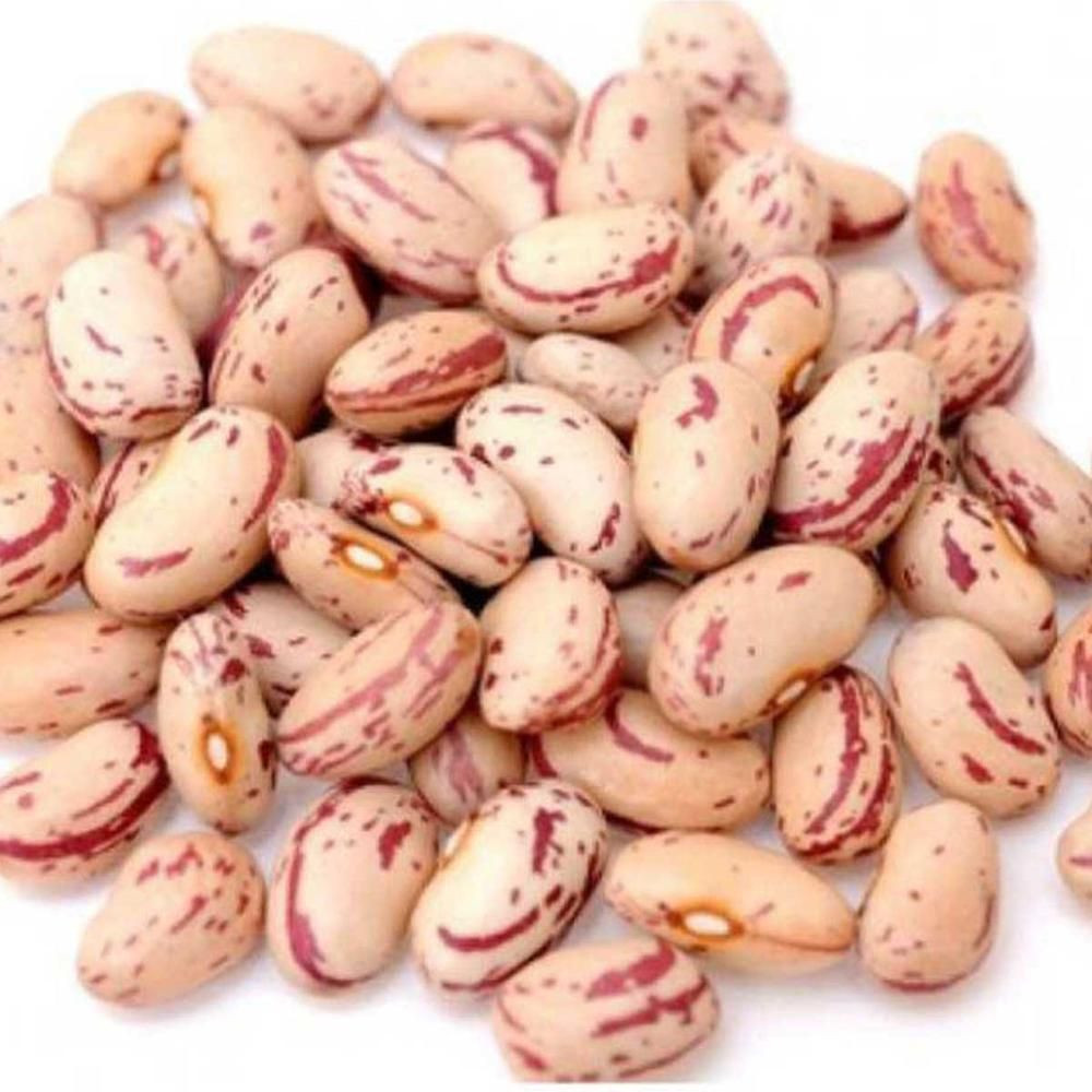High Quality New crop sugar beans LSKB light speckled kidney bean | Rek Kidney Beans