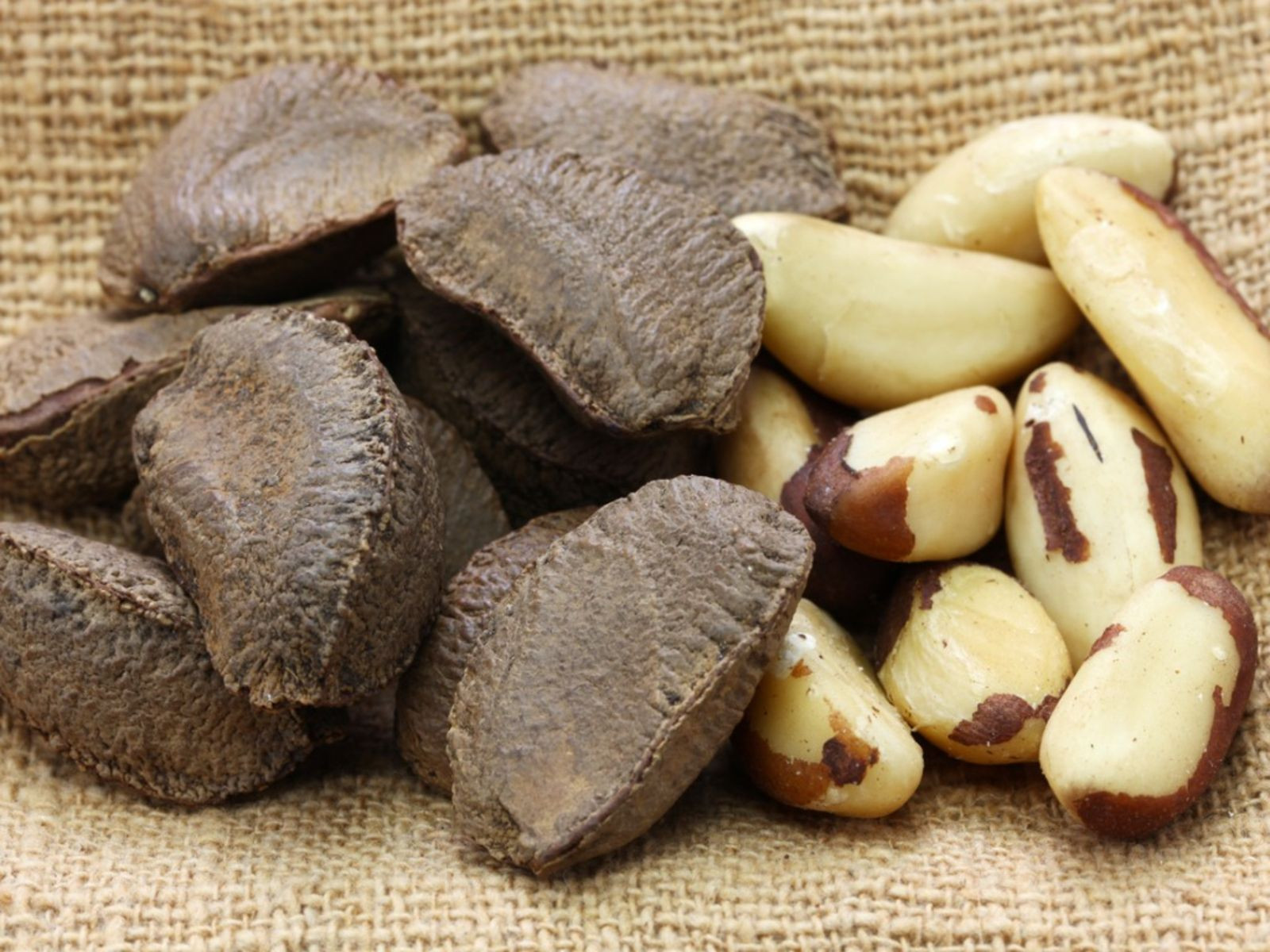 100% Pure Natural Peru High Quality Brazil Nuts Wholesale