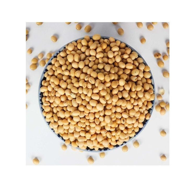 High Quality Non GMO Yellow Soybeans - Soybeans /Soya Bean (8.0mm) with High Quality