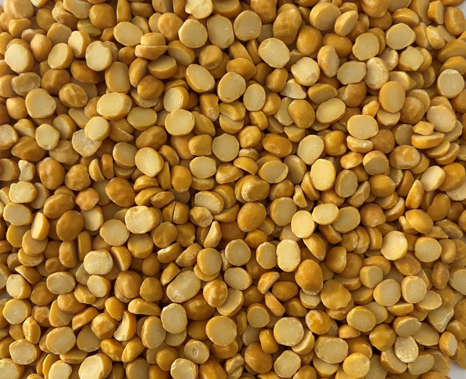 Lentils, Pulses , Urad Dal, Split Bengal gram, Chana Dal