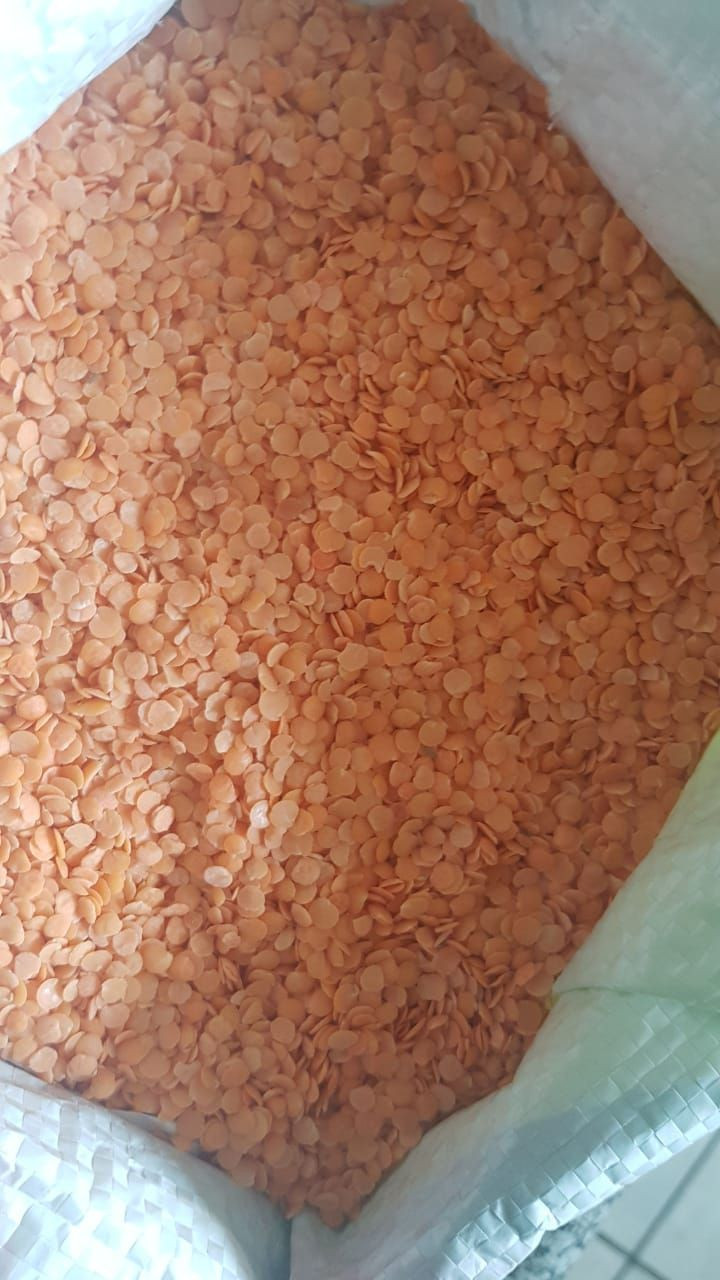 Quality Red Lentils
