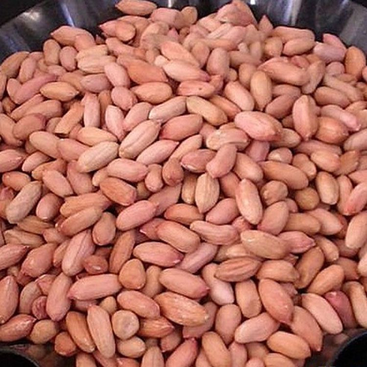 High Quality Peanuts, Ground Nut