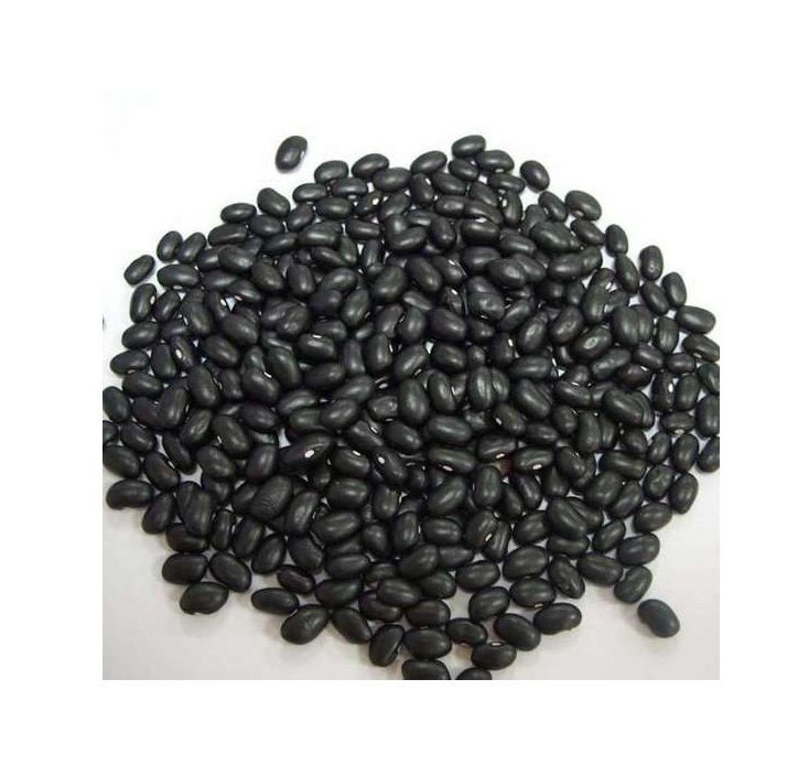 Black Kidney Beans - Small Black Beans - Best Price and Quality