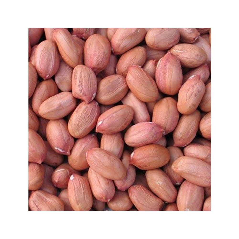 High Quality Peanuts, Ground Nut