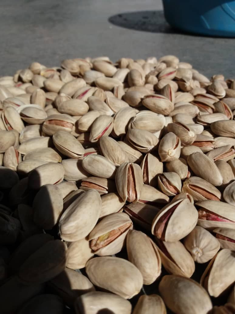 100% Quality Pistachios Roasted, Cheap Price Pistachio Nuts, Kernels