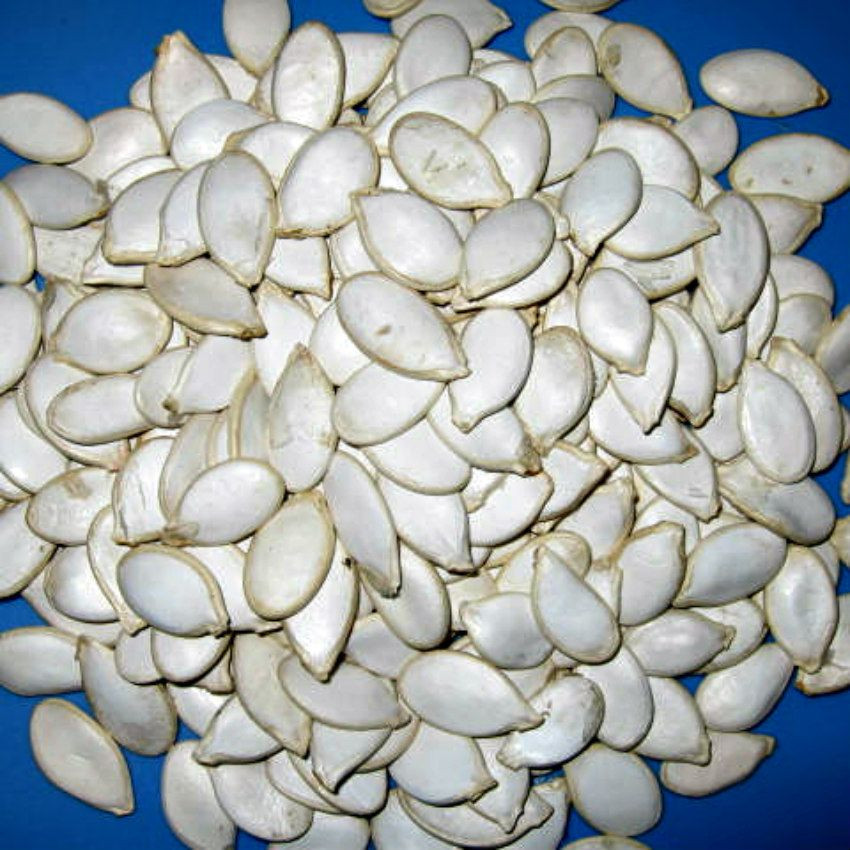 quality shine skin/snow white pumpkin seeds for sale