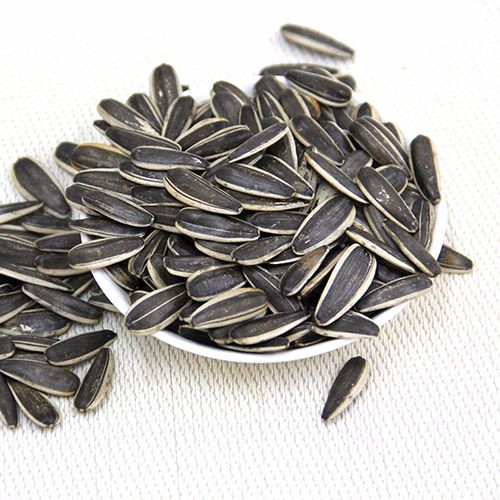 Wholesale Factory Direct Crop 601 Sunflower Seeds for bakery