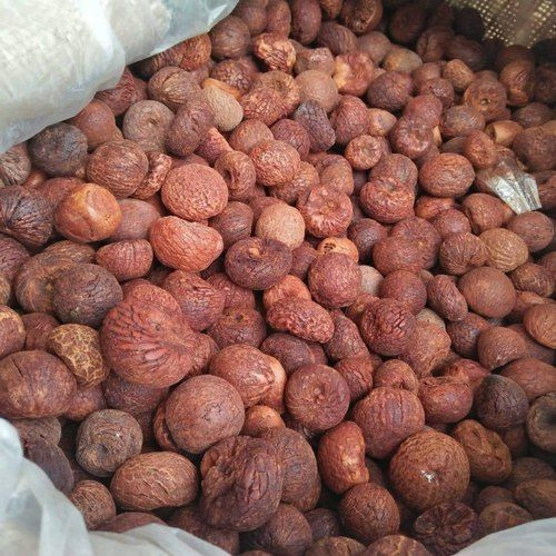 ORGANIC DRIED WHOLE ARECA NUTS/DRIED BETAL NUT OR ARECA NUTS