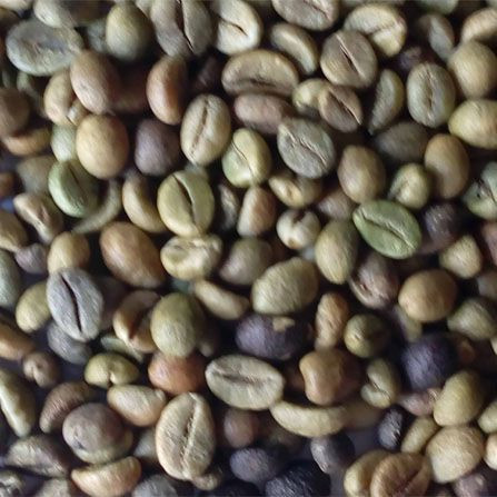 Ethiopian Arabica Coffee Beans/ green beans coffee