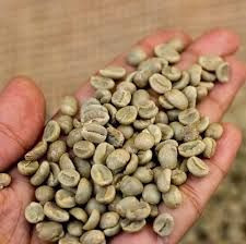 Ethiopian Arabica Coffee Beans/ green beans coffee