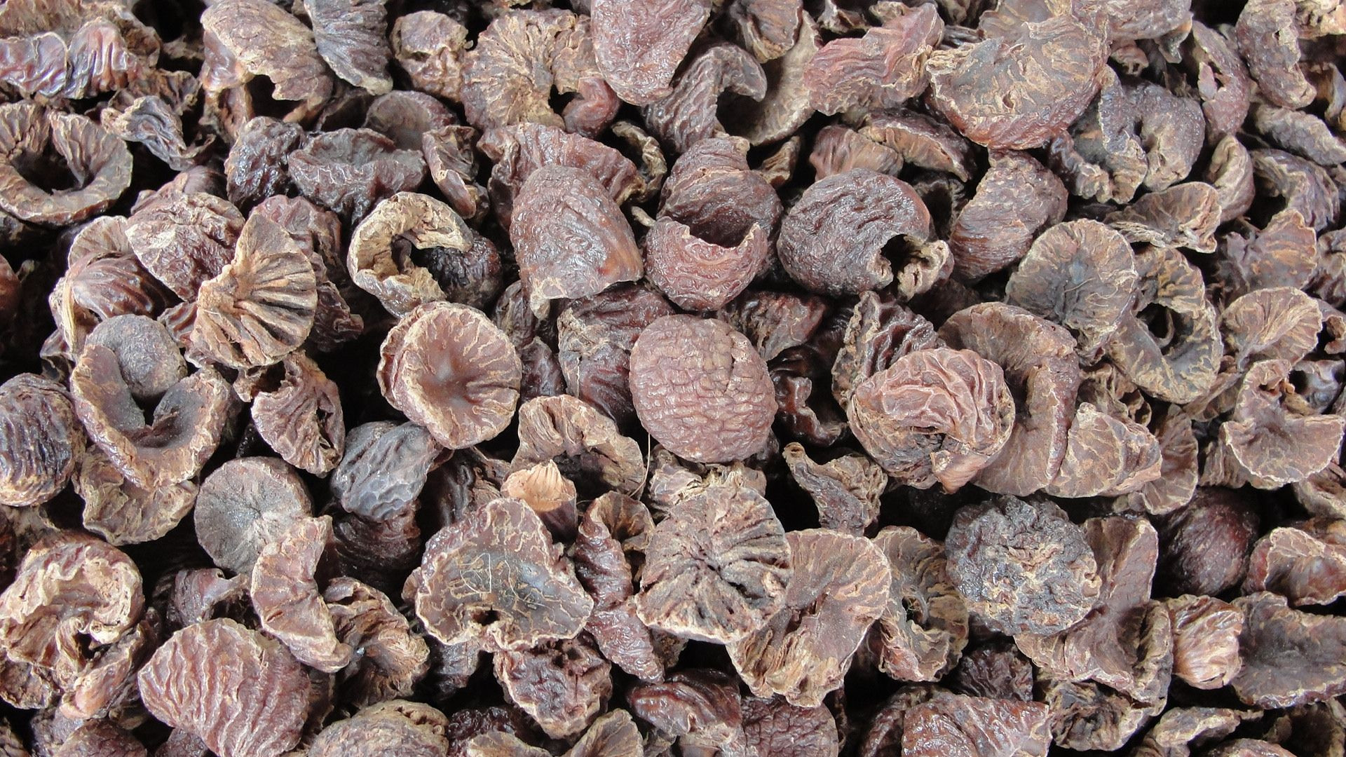 ORGANIC DRIED WHOLE ARECA NUTS/DRIED BETAL NUT OR ARECA NUTS