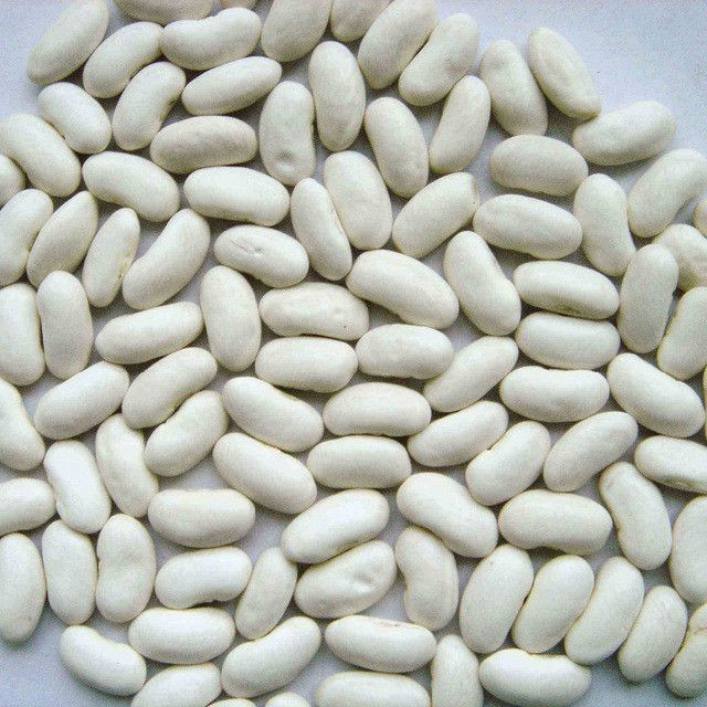 Kidney Beans Beans sugar pinto beans for sale Black White Red Cranberry Jugo