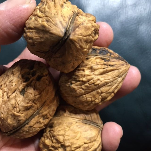 Raw Fresh Whole Shell Walnuts Kernels Good Quality Raw Walnut