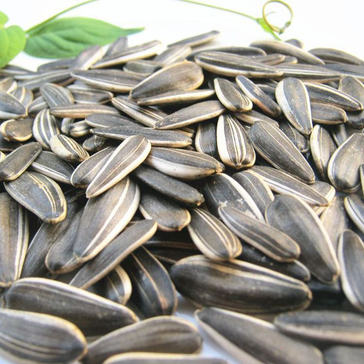 high grade sunflower seeds