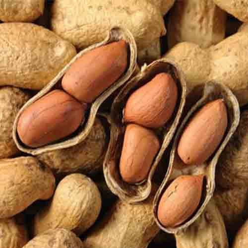 High Quality Peanuts, Ground Nut Wholesale