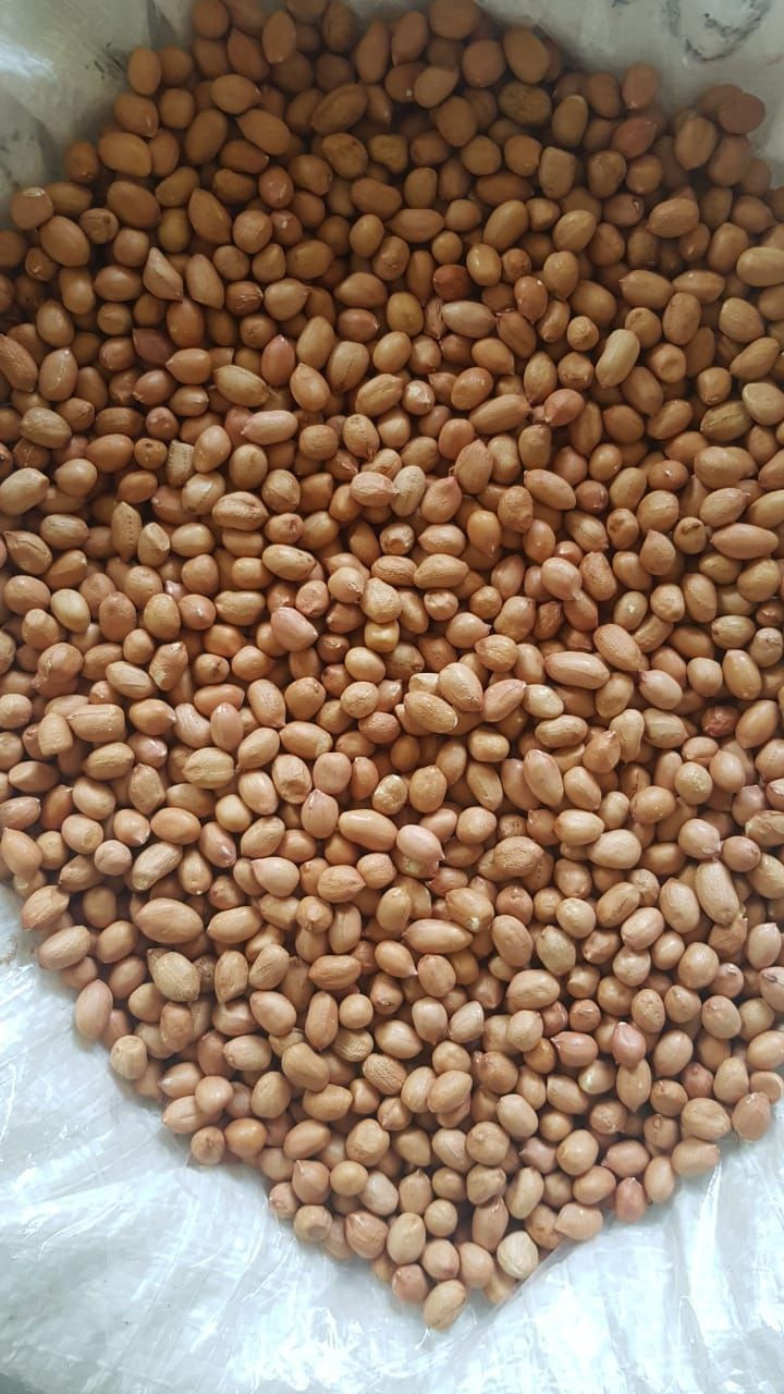 Raw Peanuts Kernel