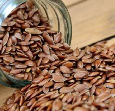 High Quality Linseed Flaxseed, Certified Organic Flax Seeds