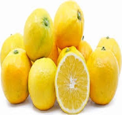 Premium Quality Fresh Citrus Fruits