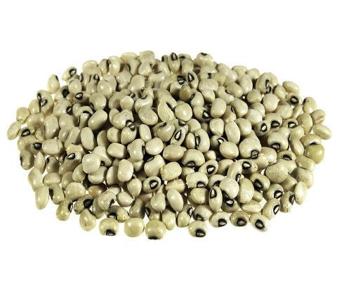 Wholesale organic soyabeans/ soya beans