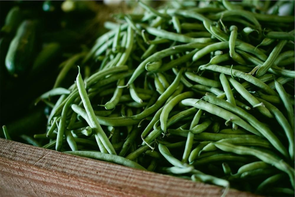 Fresh And Frozen Cut Green Beans with Good Price