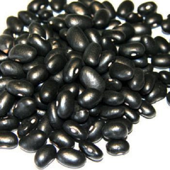 Hot sales Dried and Raw Dark Red Kidney Sugar Bean for sale