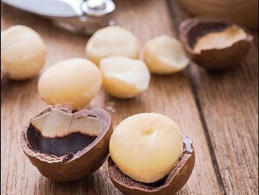 Macadamia Nuts with Best Quality
