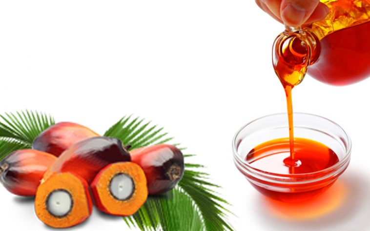 Bulk Top Quality RBD Palm Olein CP8 CP10 / RBD Palm Oil