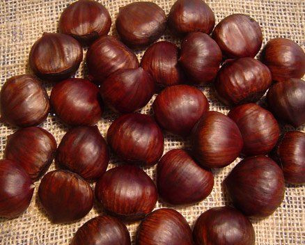 Wholesale fresh Chestnut/ Raw easy peel sweet roasted chestnuts organic snack food