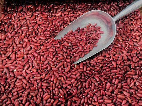 Wholesale Fresh Farm Red kidney beans