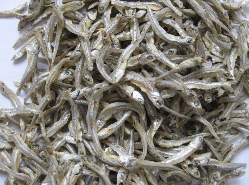 Dried Sprat Anchovy / 100% Sun Dried Sprat / Boiled Anchovy Sprats