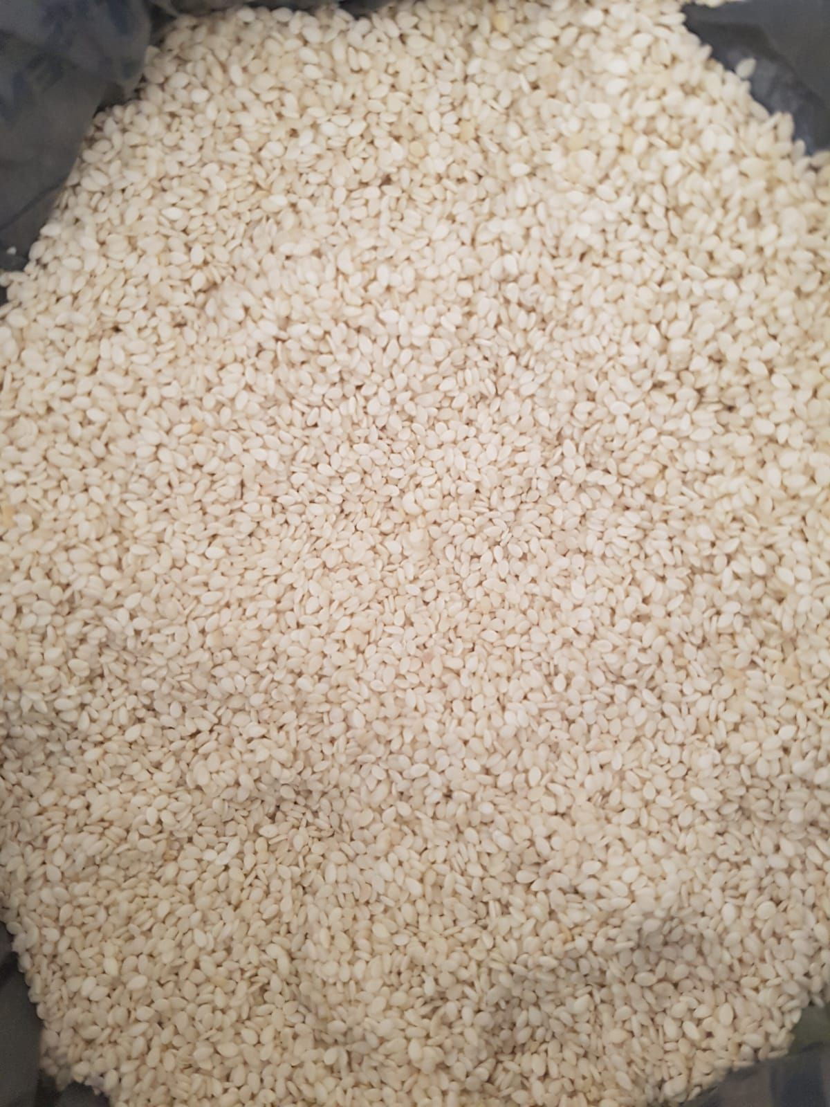 99.99 % Purity Natural White Sesame Seeds