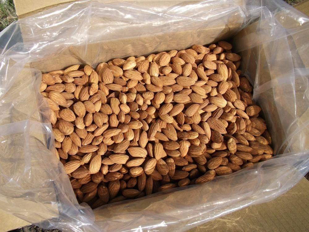 Almond Kernels/Good quality Almond Nuts/Almond Without Shell