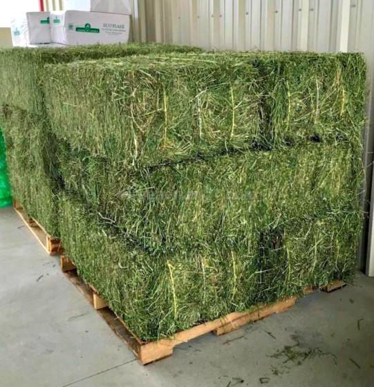 Hay Pellets / Animal Feed- Alfalfa Pellets