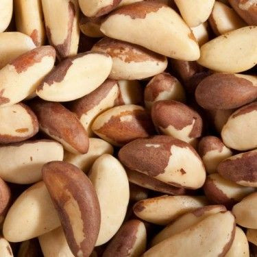 Brazil Nuts 100% Natural Grade / Top Quality Brazil Nuts for Sale
