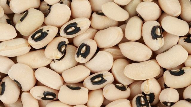 Black Eyed Beans/Black eyed peas - in stock and affordable. wholesale prices