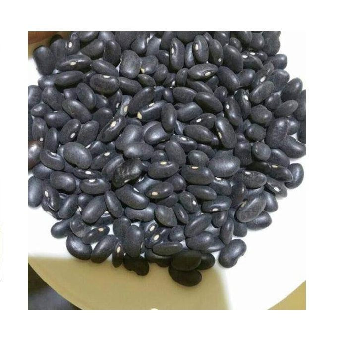 high quality small south african black kidney beans