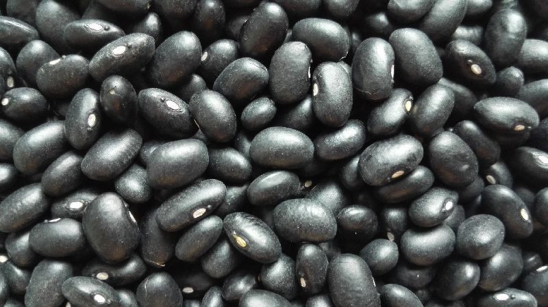 Low Price Nutrition Natural Black Eye Kidney Beans For Sale