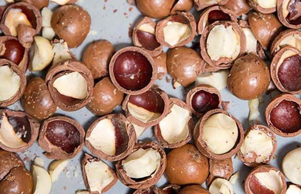 Macadamia Nuts with Best Quality