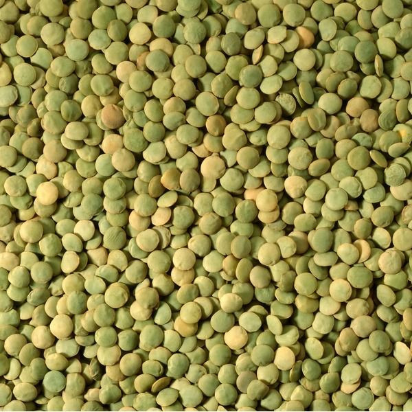 Wholesale Green Lentils