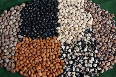 Bulk Natural Dried Cow Peas Kidney Beans