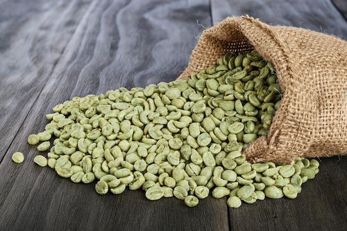 Best Arabica Green Coffee Beans With Shelf Life 25 Months In Plastic Packaging From Vietnam