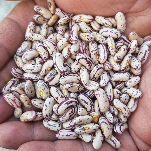 New Crop Light Speckled Kidney Beans/Lskb/pinto beans/sugar beans