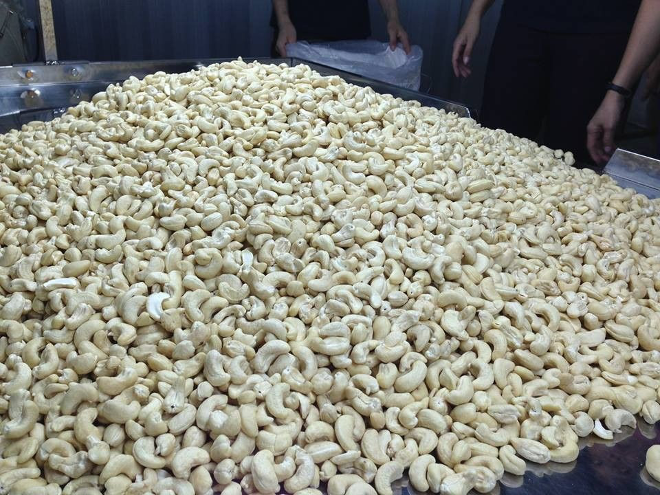 ietnamese High Quality Raw Cashew Nuts With Best Price