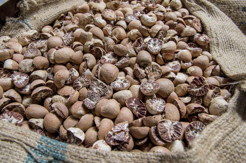 Dried Betel Nuts whole and split / Whole Betel Nut