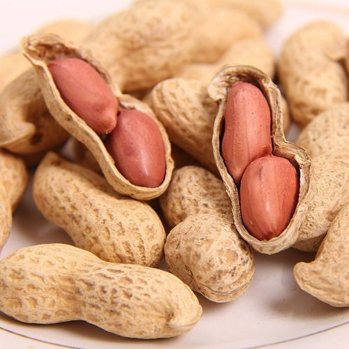 High Quality Peanuts, Ground Nut Wholesale